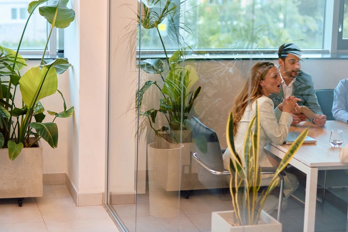 Modern office with biophilic plants